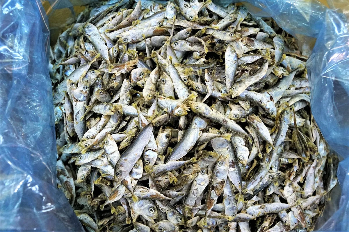 Batch cooking : la méthode réaliste (pas celle des réseaux)