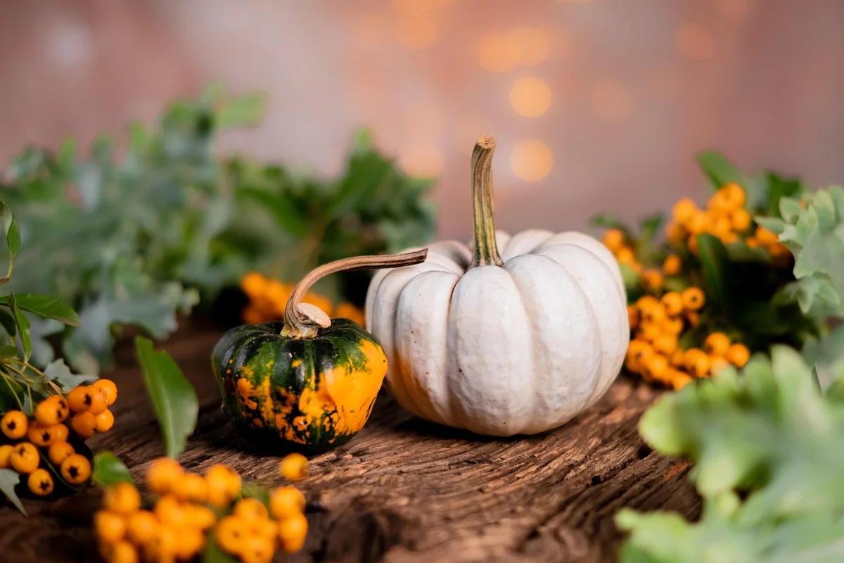 Le calendrier des légumes pour lasagne végétarienne