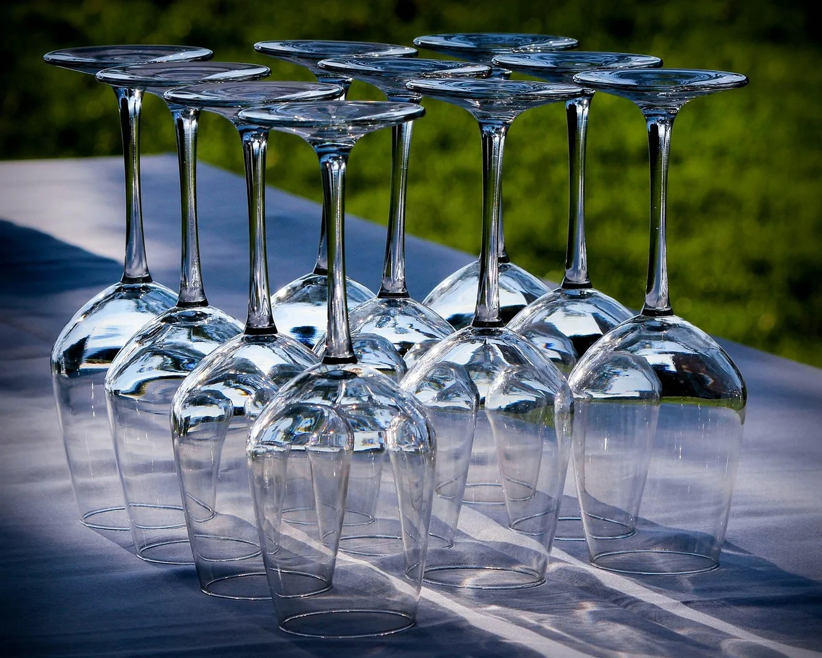 Choisir ses verres et son dressage sans se tromper