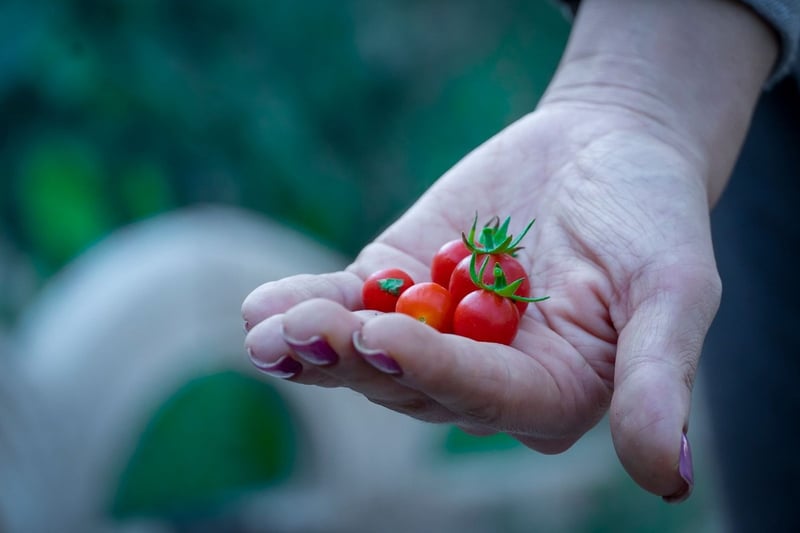 Batch cooking pour gagner du temps en cuisine : la méthode qui change tout
