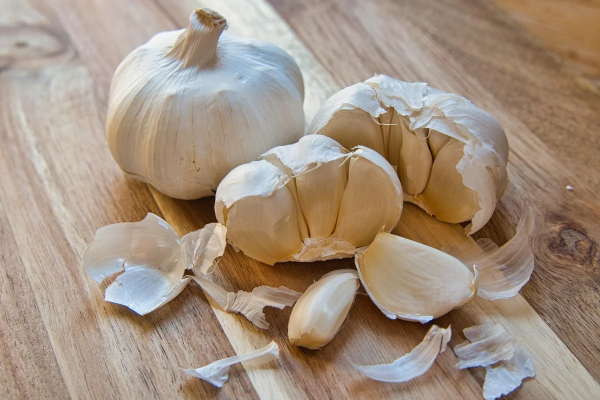 Par où commencer ? La progression que j'aurais aimé qu'on m'impose